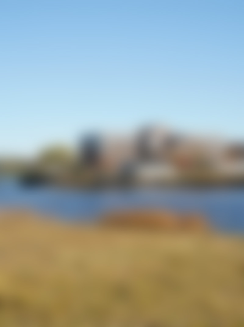 This image for Image Layouts addon